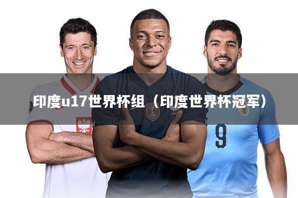 印度u17世界杯组（印度世界杯冠军）
