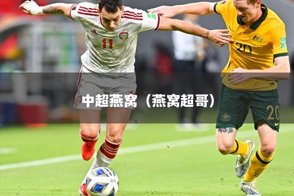 中超燕窝(燕窝超哥)