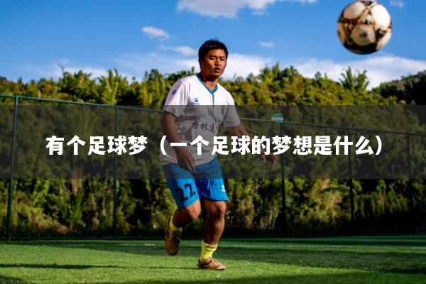 有个足球梦(一个足球的梦想是什么)
