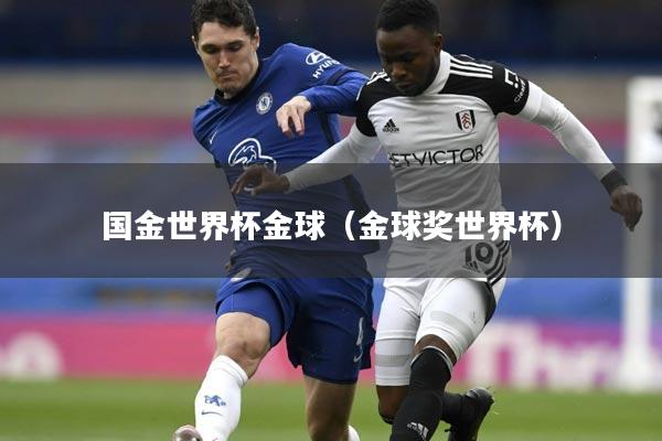 国金世界杯金球（金球奖世界杯）