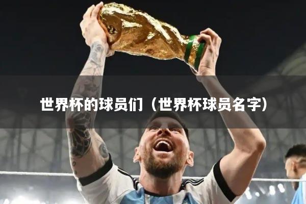 世界杯的球员们(世界杯球员名字)