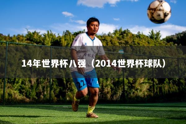 14年世界杯八强（2014世界杯球队）