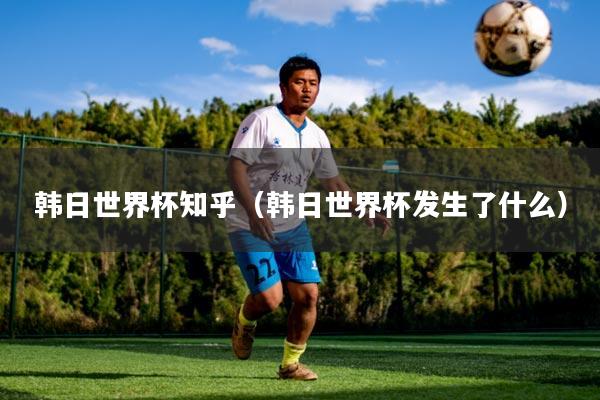 韩日世界杯知乎(韩日世界杯发生了什么)