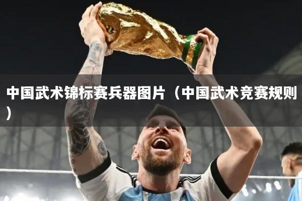 中国武术锦标赛兵器图片(中国武术竞赛规则)