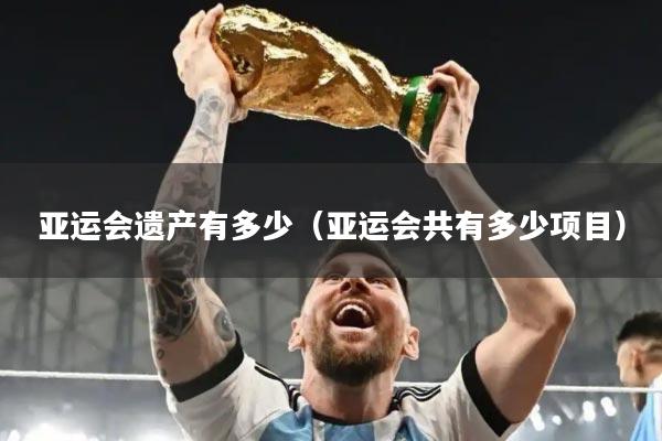 亚运会遗产有多少(亚运会共有多少项目)