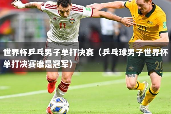 世界杯乒乓男子单打决赛(乒乓球男子世界杯单打决赛谁是冠军)