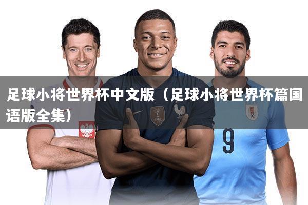 足球小将世界杯中文版(足球小将世界杯篇国语版全集)