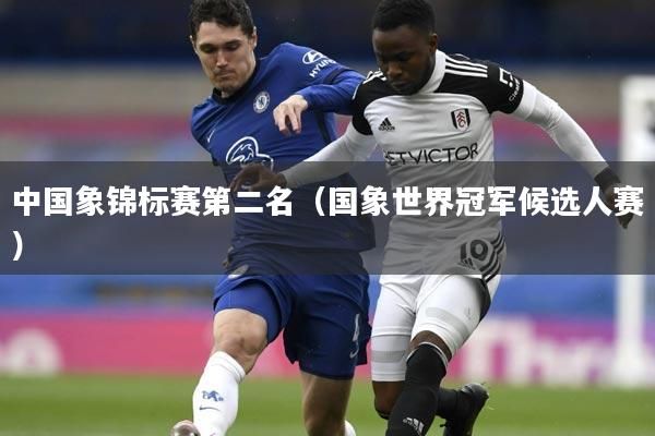 中国象锦标赛第二名(国象世界冠军候选人赛)