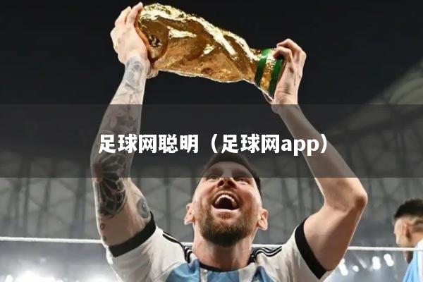 足球网聪明(足球网app)