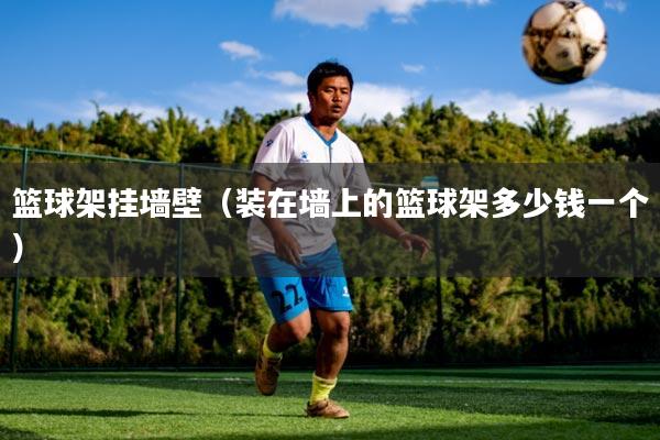 篮球架挂墙壁(装在墙上的篮球架多少钱一个)