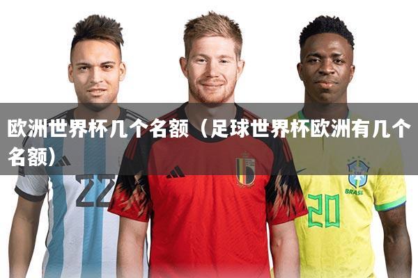 欧洲世界杯几个名额(足球世界杯欧洲有几个名额)