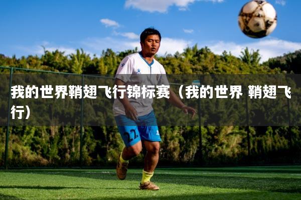 我的世界鞘翅飞行锦标赛（我的世界 鞘翅飞行）