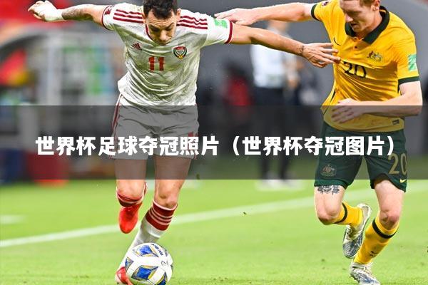 世界杯足球夺冠照片(世界杯夺冠图片)