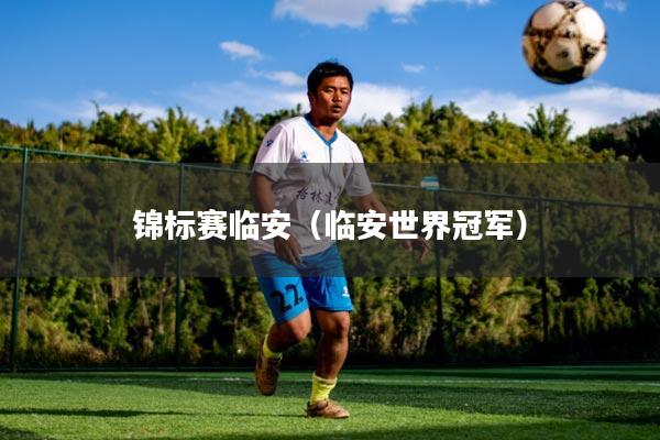 锦标赛临安（临安世界冠军）